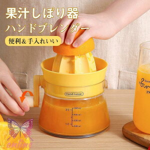 ʏ`ڂ nhu_[ nh W[T[ ʏ` i ʏ` CW[X Ɩp ~LT[ 蓮 i W[X