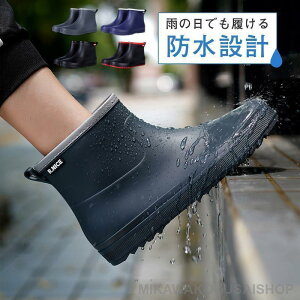 Cu[c CV[Y Y V[g u[c ~ Sh C JC ƌC  ~J΍ AEghA ʋ ] Jp