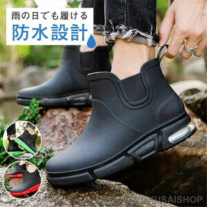 Cu[c CV[Y Y Xj[J[ h Sh V[g  JC ƌC  ~J΍ AEghA ] Jp