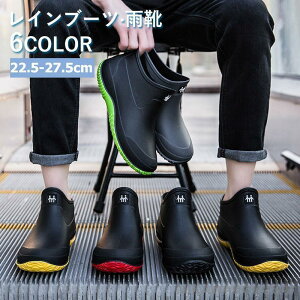 Cu[c Y CV[Y fB[X C V[g y h JC V[gu[c o[V[Y JWA AEghA ʋ ʊw