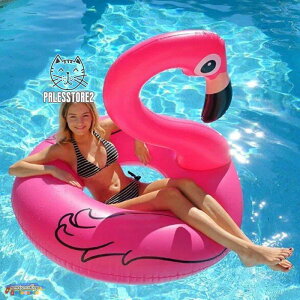   t[g  lp 傫 120cm t~S  t~S  C v[ r[` V 