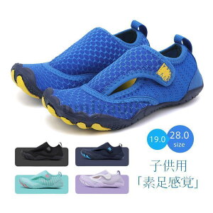 }V[Y fB[X ʔ Y WjA EH[^[V[Y  ANAV[Y {[CY K[Y C  W[ qp lp