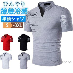 Vc Y  StEFA TVc  vg n JWA Xgb`  ĕ  傫TCY 