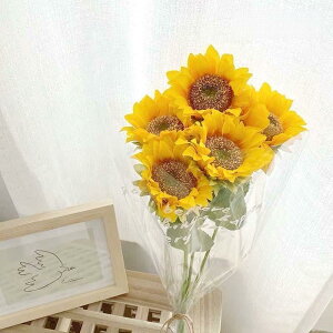  CeA tFCNt[ Ђ܂  ԑ  u[P  A[g CG[ 킢 A Zbg