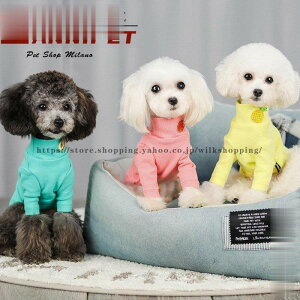 ybg hbOEFA  H   ~  g  ^ ^ W[W 킢  p[J[ ʕ Ck `