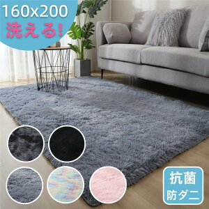 ���O �􂦂� ���O�}�b�g 160*200 �􂦂�J�[�y�b�g ���r���O �V���M�[���O �z�b�g�J�[�y�b�g�J�o�[ �O�~ ����� ���[�g�� �� C-43