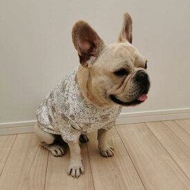 犬 服 フレブル フレンチブルドッグ 犬服 トレーナー 厚手Tシャツ ホワイト 中型犬 小型犬 KM237TS