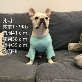 犬 服 フレンチブルドッグ フレブル 中型犬 無地半袖Tシャツ 犬 いぬ 服 ドッグウェア KM114TS