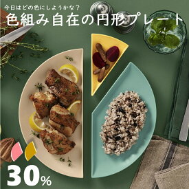 パーセントプレート 30％ 同色2枚セット プラスチック皿 食器 日本製 食洗機対応 電子レンジ対応 扇形 中皿 主菜 銘々皿 取皿 パン ケーキ メイン皿 取り分け 組み合わせ ギフト インスタ 新築祝い 誕生日 パーティー