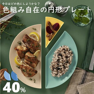 パーセントプレート 40％ 同色2枚セット プラスチック皿 食器 日本製 食洗機対応 電子レンジ対応 中皿 扇形 取り皿 長皿 銘々皿 パン パスタ メイン皿 取り分け 組み合わせ ギフト インスタ