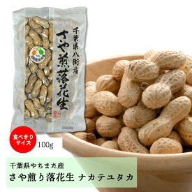 食べきりお手頃サイズ！千葉県八街産｜県奨励品種「ナカテユタカ」殻つき落花生100g｜ 国産 やちまた ピーナッツ 無塩 素焼き 殻つき 贈答 ギフト お歳暮 お中元 おつまみ おやつ お試し