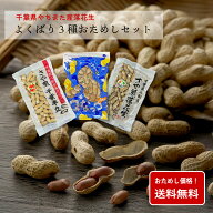 八街産落花生よくばり3品種おためしセット「千葉半立」「Qなっつ」「ナカテユタカ」【ポスト投函便】｜ …