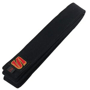 N tFgcp  JOVB y IJFFES_AKiii z Ȑ ѕ4.5cm 13{D ϔ