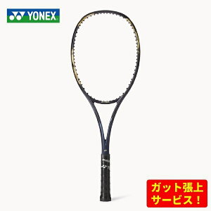 lbNX \tgejXPbg WIuCN 80V y t[̂ z 02GB80V 832 S[h^p[v P[Xt 