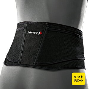 UXg ZW-4 pT|[^[ ƒʋCɂꂽbVf ėp \tgT|[g jp