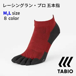 TABIO [VOEv ܖ{w \bNX MTCY(25-27cm) LTCY(27-29cm) jO gbN }\ St W g[jO M 072120039 L 072120040