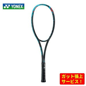 lbNX \tgejXPbg WIuCN 70V y t[̂ z 02GB70V 301 ANA P[Xt 