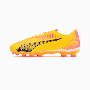 v[} WjA TbJ[XpCN LbY Eg vC HG vX ~bh 107778 03