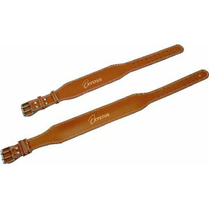 g[GCCg EGCgg[jO֘Ai ANZT[ {fBPA tBbglX EFCgg[jOxg H-7454M