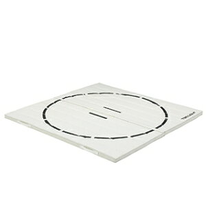 g[GCCg }bg Rۂ}bg300 T-2533