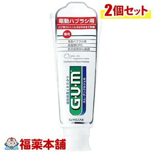 p f^GEUEM K p f^WF(duVp) TX^[ (65g) × 2 [䂤pPbgE]