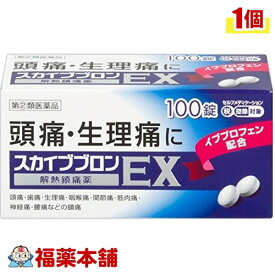 【第(2)類医薬品】☆スカイブブロンEX（100錠） ［宅配便・送料無料］