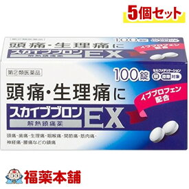 【第(2)類医薬品】☆スカイブブロンEX（100錠×5箱） ［宅配便・送料無料］