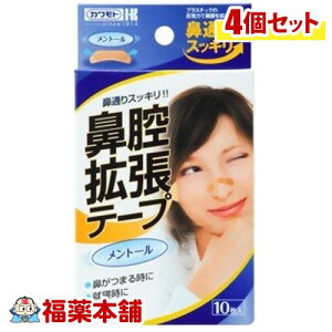 @oge[v g[(10×4) [䂤pPbgE]