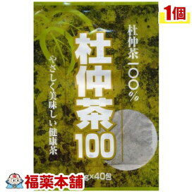 杜仲茶100(3gx40包入) [宅配便・送料無料]