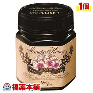 F[_B }kJnj[ MG300+(250g) [zցE] I ݂͂   e N