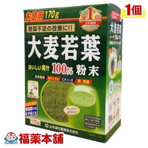 唞t100 vʃ^Cv(170g) [zցE]