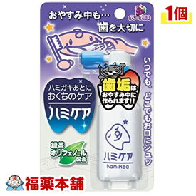 ハミケア グレープ風味(25g) [宅配便・送料無料]