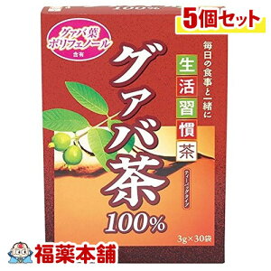 井藤漢方 グァバ茶100％(3gx30包)×5個 [宅配便・送料無料]