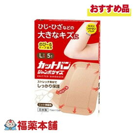 救急絆創膏 カットバン ジャンボサイズ　Lサイズ5枚 [ゆうパケット・送料無料]