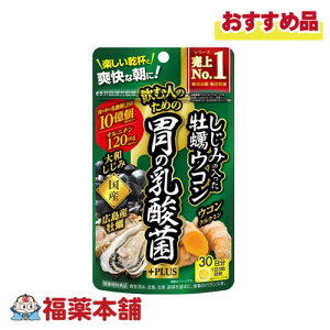 䓡 ݂̓yER݂̓_+PLUS 90 [䂤pPbgE]