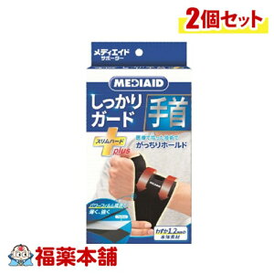 {VO}bNX fBGChT|[^[ K[h Xn[hvX t[TCY×2 [䂤pPbgE]