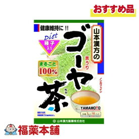 山本漢方 ゴーヤ茶 3g×16包 [宅配便・送料無料]