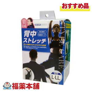 日本シグマックス メディエイド スタイルケア 背中ストレッチ L-LL(適応サイズ(約):ウエスト 80〜100cm) 医療用 姿勢矯正サポーター背筋 猫背対策 巻き肩 男女兼用 背筋 猫背対策 巻き肩 肩