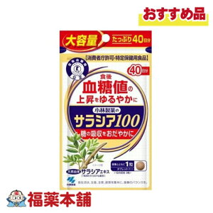 ѐ yیpHiz TVA100 (e) 120 [䂤pPbgE]