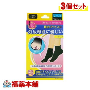 ̃AVXg OɗD\bNX ubN LTCY 1×3 [䂤pPbgE] TCY24`25cm wԃpCNbVŕsT|[g