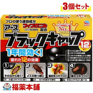 A[X ubNLbv 12×3 [zցE] 1NԌ SLu ΍ 䏊 ʑ䉺