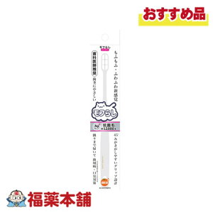 IWPA t炵(RpNg) [䂤pPbgE] Ȉt nuV a L sɂ₳