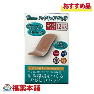 nCLApbh ӂ (25mm×60mm) (12) R͂߂nChRChJnp [䂤pPbgE] ؂LY 菝 CC ₯ 邨Ö@ CXgq[O