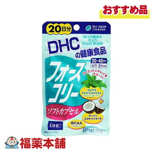 DHC tH[XR[\tgJvZ 20 40 [䂤pPbgE]