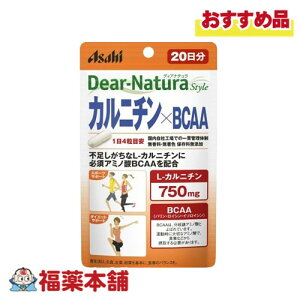 fBAi`X^C Jj`BCAA (80) 20 [䂤pPbgE]