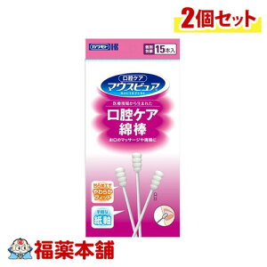 Jg }EXsA oPAȖ_ 15{×2 [䂤pPbgE] 