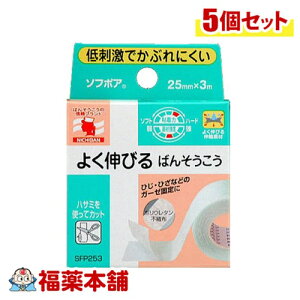 j`o \t{A 悭Lт΂񂻂 25mm×3m×5 [䂤pPbgE]