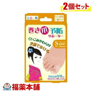 ܗ\hT|[^[ Ep STCY2×2 [䂤pPbgE]