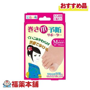 ܗ\hT|[^[ Ep MTCY2 [䂤pPbgE]