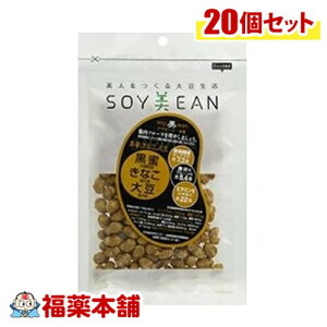 SOYEAN EȕE哤68g×20 [zցE] 哤 Aς yɐۂ